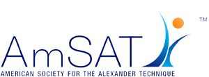 amSat logo